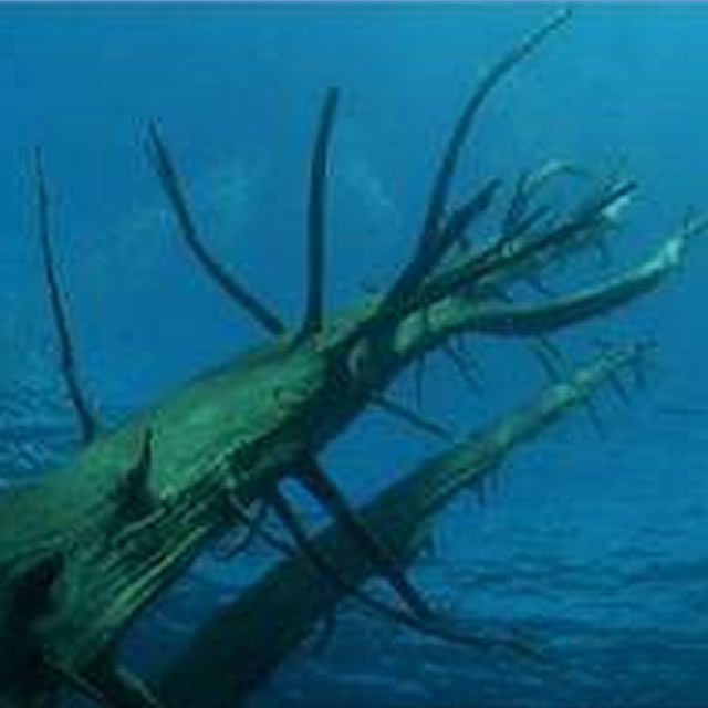 Hosteria Villa Traful